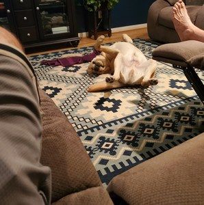 Meet your Posher, Jonathan